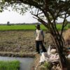 BMKG Petakan Tujuh Wilayah Terdampak El Nino Kuat di Indonesia