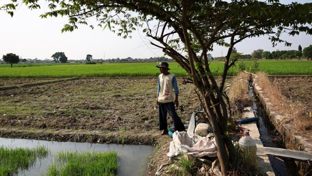 BMKG Petakan Tujuh Wilayah Terdampak El Nino Kuat di Indonesia
