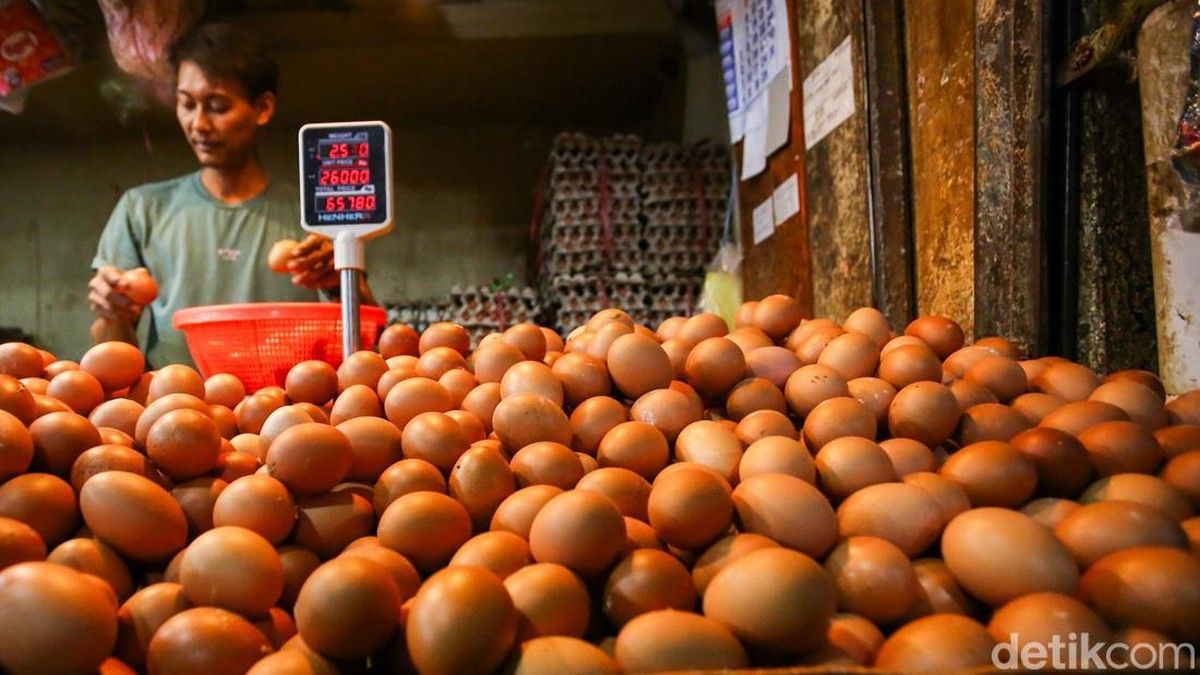 Harga Daging Ayam dan Telur Naik 26 Juli 2026