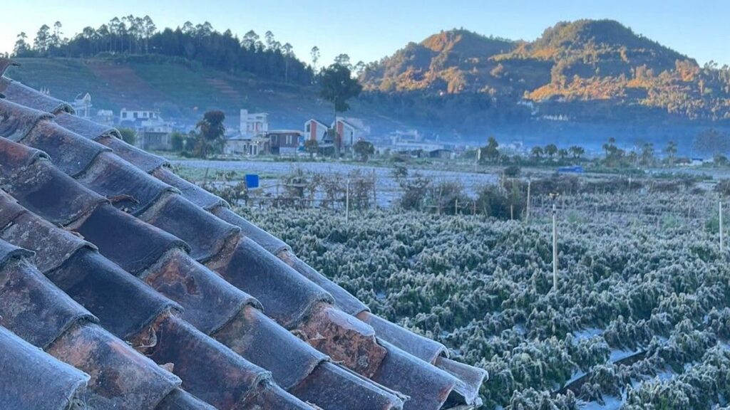 BRIN Ungkap Penyebab Fenomena Embun Es yang Melanda Dieng
