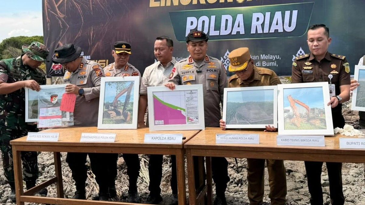Polda Riau Tangkap Dua Tersangka Perusakan Mangrove 118 Hektare
