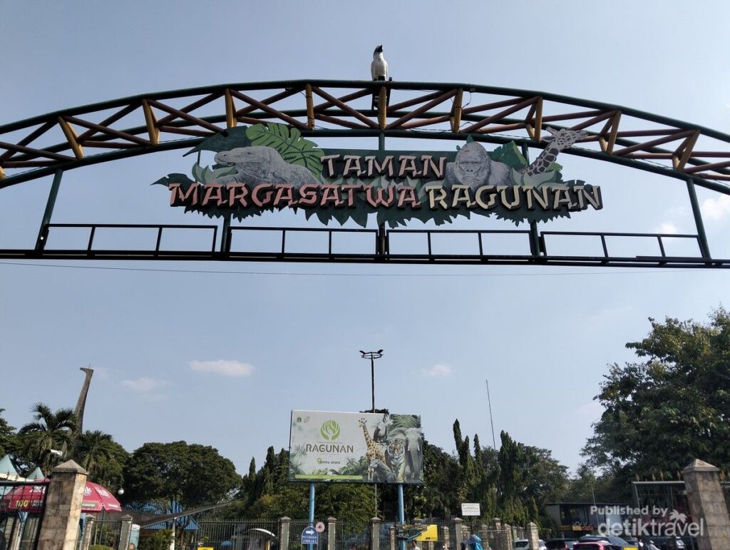 Ragunan Jadi Pilihan Libur Akhir Pekan Terakhir Sekolah