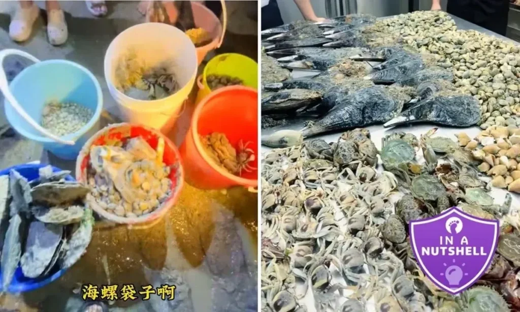 Tren Berburu Seafood Gan Hai di Singapura Picu Kekhawatiran Lingkungan