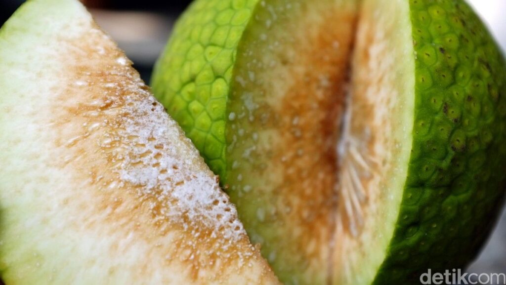 Sukun Berpotensi Jadi Superfood Masa Depan Indonesia