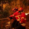 Eropa Siaga Tinggi Kebakaran Hutan Akibat Gelombang Panas Ekstrem