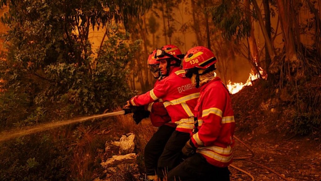 Eropa Siaga Tinggi Kebakaran Hutan Akibat Gelombang Panas Ekstrem