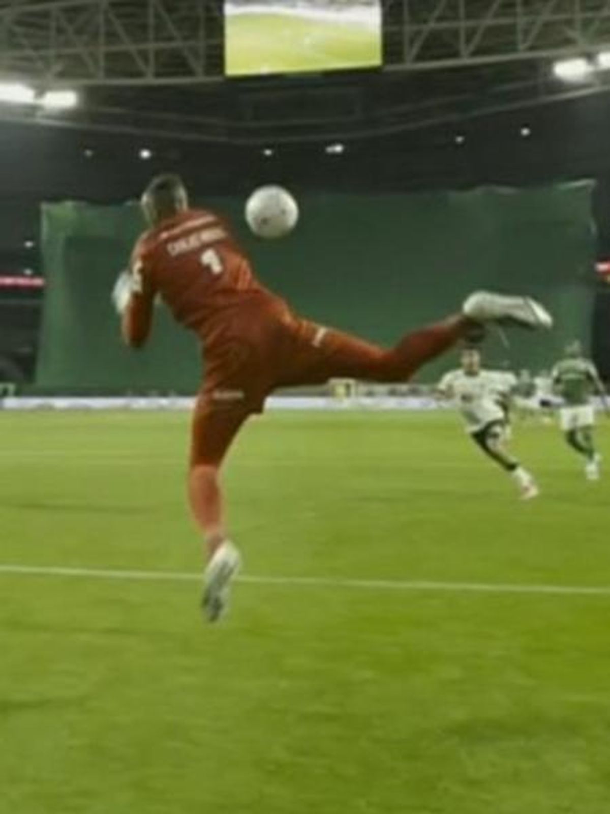 Carlos Miguel Blunder Hasil Pertandingan Palmeiras Melawan Atletico MG