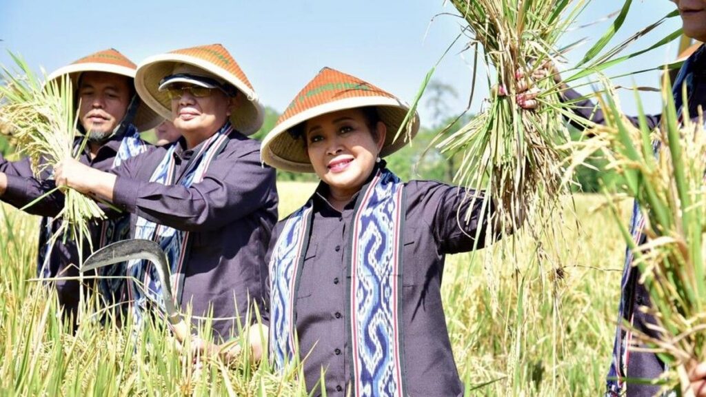 Titiek Soeharto Minta Swasembada Pangan Utamakan Kesejahteraan Petani