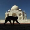 Turis Korea Selatan Diserang Monyet Liar di Taj Mahal