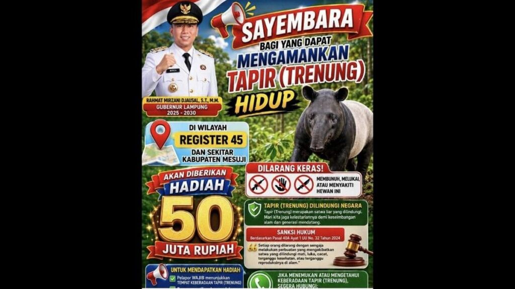 Gubernur Lampung Gelar Sayembara Penangkapan Tapir Hidup Berhadiah Rp50 Juta