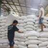 Bappenas Desak Bulog Percepat Penyerapan Cadangan Jagung Pemerintah