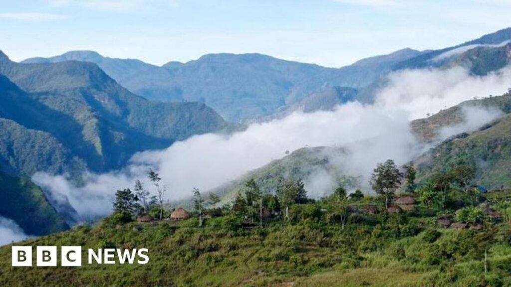 KKB Tembak Mati Pilot Asal AS di Yahukimo