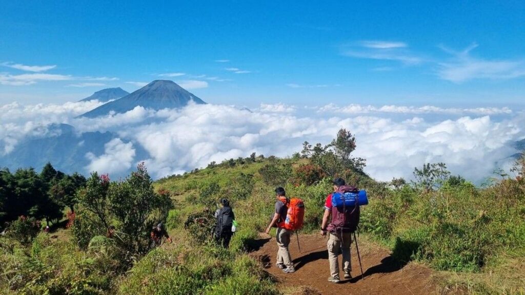 Aksi Penyelamat Hibur Pendaki Hipotermia di Gunung Prau hingga Jadian