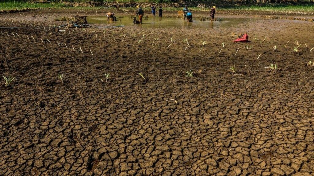 Warga Gunungkidul Jual Ternak Demi Beli Air Clean