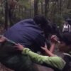 Tim Relawan Evakuasi Pendaki Berbobot 145 Kilogram di Gunung Gede