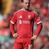 Liverpool Siap Jual Alexis Mac Allister pada Bursa Transfer