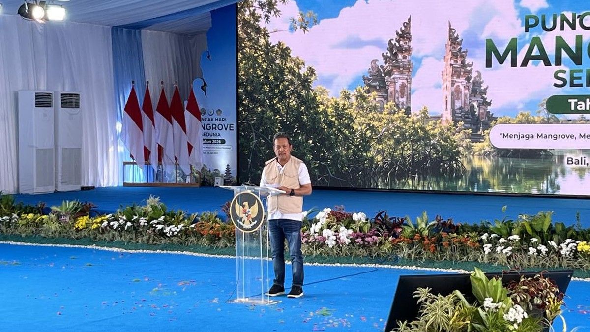 KKP Catat Indonesia Kehilangan 40 Persen Mangrove Tiga Dekade