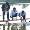 Satgas PRR Aktifkan Tambak dan Perkebunan Kopi Aceh Pasca-Bencana