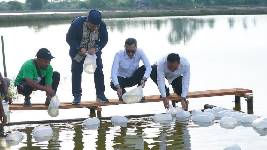 Satgas PRR Aktifkan Tambak dan Perkebunan Kopi Aceh Pasca-Bencana