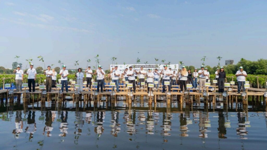 Shopee Indonesia Tanam 2.000 Bibit Mangrove Dukung Hari Mangrove Sedunia