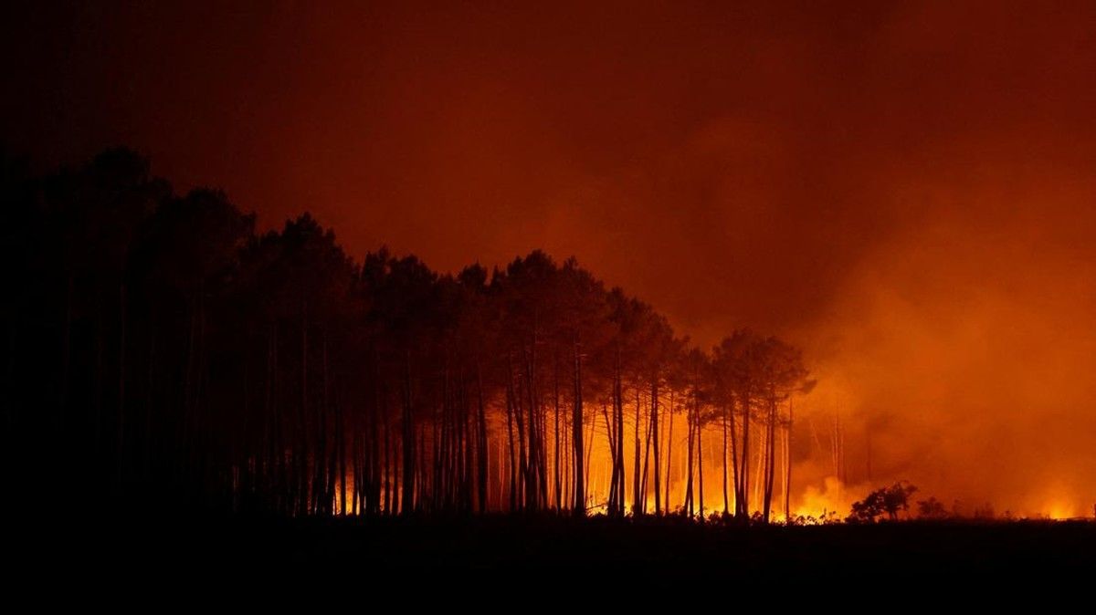 Kebakaran Hutan Melanda Pesisir Italia Ratusan Orang Dievakuasi
