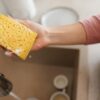 Spons Dapur Bisa Jadi Sarang Bakteri Pemicu Penyakit