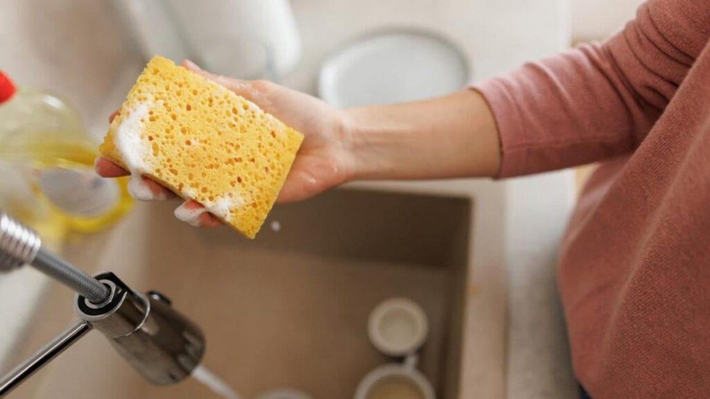 Spons Dapur Bisa Jadi Sarang Bakteri Pemicu Penyakit