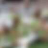 Belgia Tekuk Senegal Lewat Penalti VAR Babak Tambahan