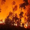 Kebakaran Hutan Melanda Prancis Selatan Paksa Ribuan Orang Mengungsi