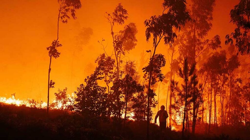 Kebakaran Hutan Melanda Prancis Selatan Paksa Ribuan Orang Mengungsi