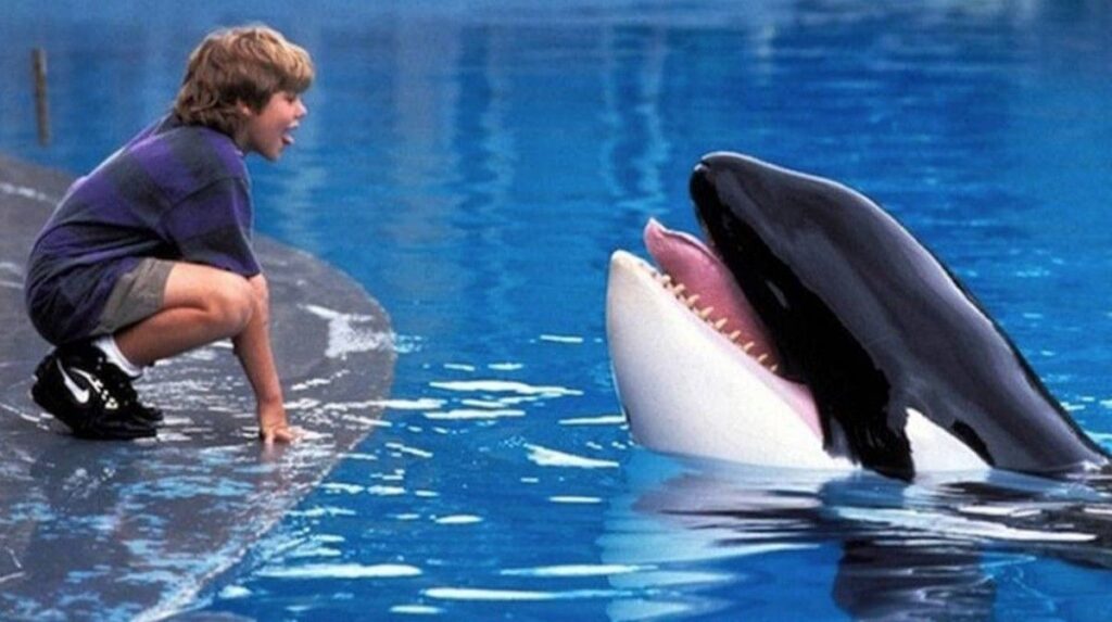 Warner Bros Kembangkan Proyek Reboot Film Legendaris Free Willy