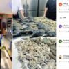 Restoran Havelock Palace Singapura Diduga Masak Seafood Pantai Liar