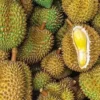 Filipina Sediakan Paket Makan Durian Sepuasnya Mulai Rp 29 Ribuan