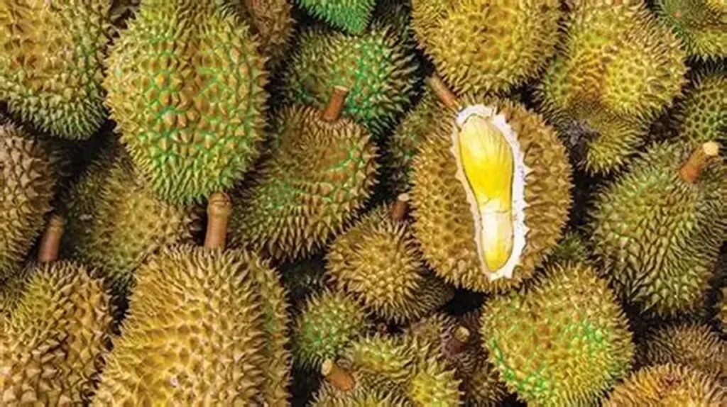 Filipina Sediakan Paket Makan Durian Sepuasnya Mulai Rp 29 Ribuan