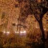 Kebakaran Hanguskan Tiga Hektare Hutan Rakyat di Ponorogo