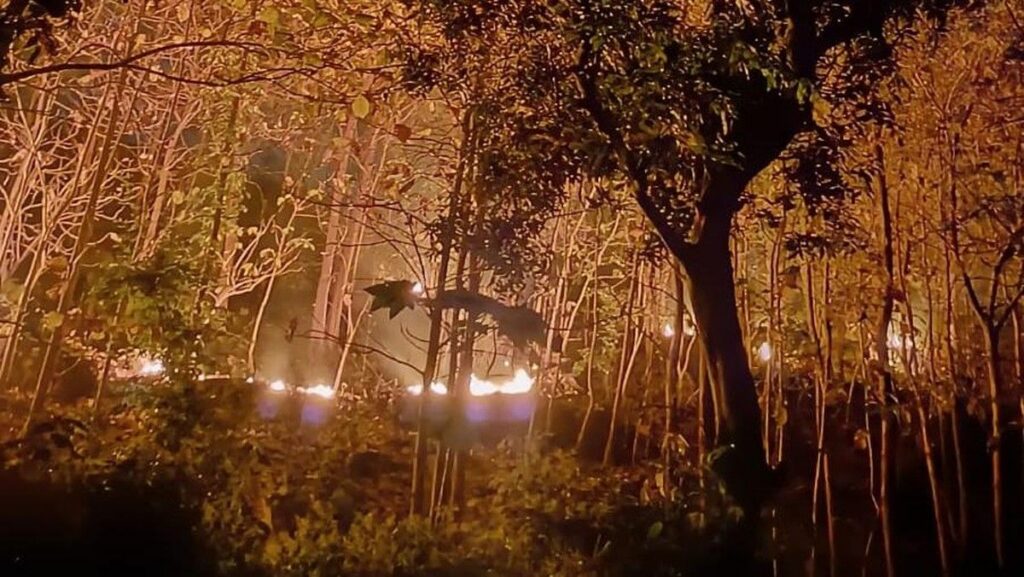 Kebakaran Hanguskan Tiga Hektare Hutan Rakyat di Ponorogo