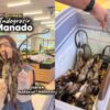 Supermarket di Manado Jual Berbagai Daging Hewan Ekstrem Beku