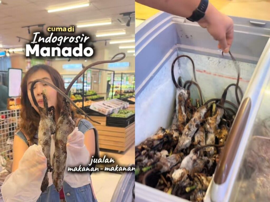 Supermarket di Manado Jual Berbagai Daging Hewan Ekstrem Beku