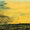 Pohon Great Green Wall China Tumbuh Lebih Cepat dari Hutan Alami