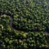 Debu Gurun Sahara Menyuburkan Hutan Hujan Amazon di Amerika Selatan