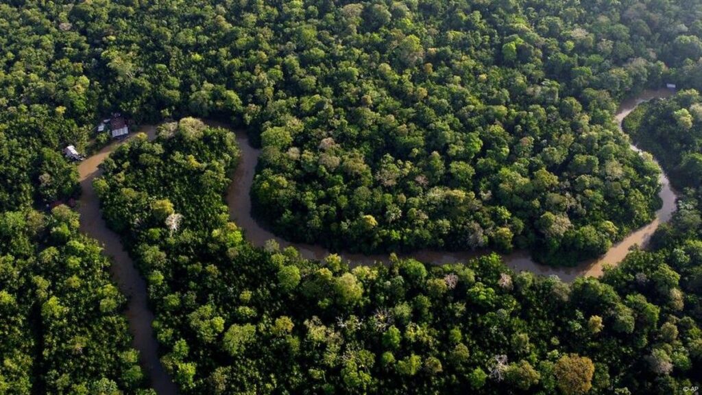 Debu Gurun Sahara Menyuburkan Hutan Hujan Amazon di Amerika Selatan