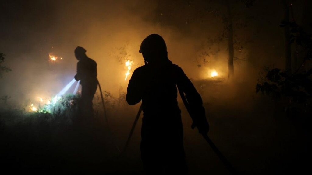 Polisi Prancis Tangkap Dua Terduga Pembakar Hutan Fontainebleau