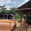Polda Riau Bongkar Kilang Kayu Ilegal dan Sita Ratusan Batang Kayu di Kampar