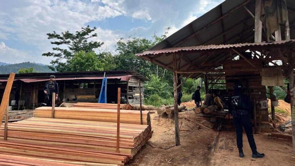 Polda Riau Bongkar Kilang Kayu Ilegal dan Sita Ratusan Batang Kayu di Kampar