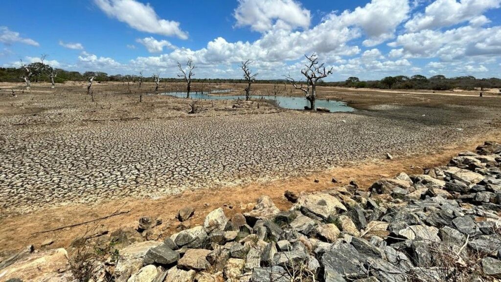 BMKG Catat Curah Hujan Juni 2026 Terendah dalam Tiga Dekade terakhir