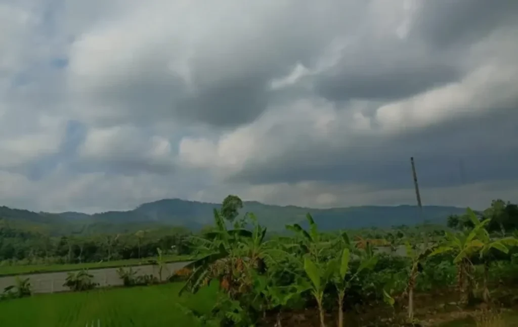 BMKG Prakirakan Cuaca Purworejo Berawan dan Berpotensi Kabut