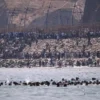 Perbatasan Ceuta Memanas Usai Ribuan Migran Menerobos Masuk