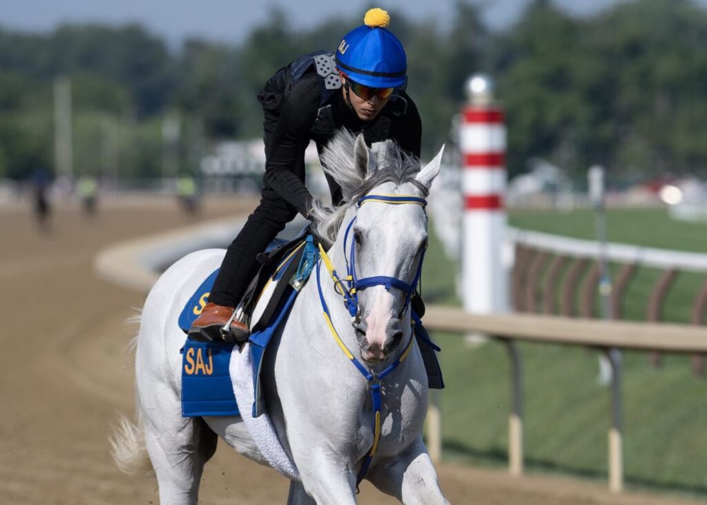 White Abarrio Lakukan Latihan Jelang Balapan Whitney Stakes