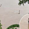 Banjir Bandang di Hengzhou China Picu Lepasnya Ratusan Ular Berbisa