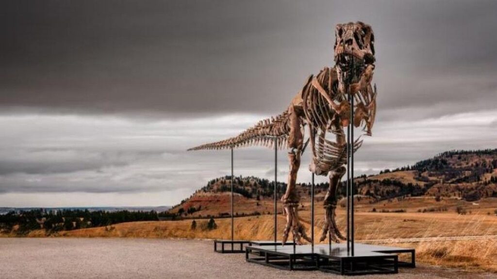 Fosil T-Rex Gus Terjual Pecahkan Rekor Rp 898 Miliar
